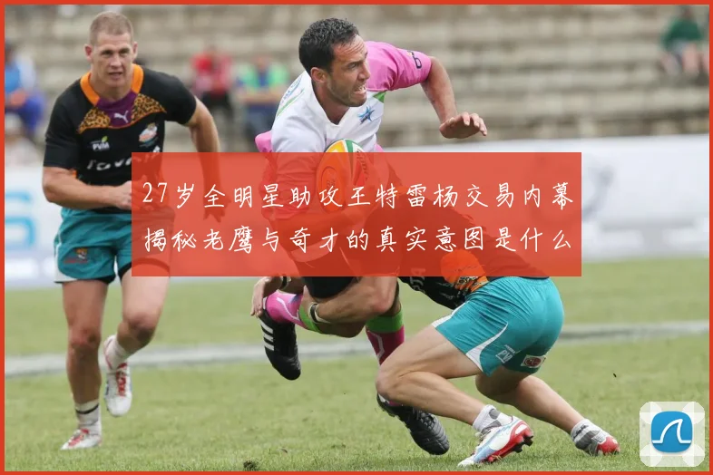 27岁全明星助攻王特雷杨交易内幕揭秘老鹰与奇才的真实意图是什么